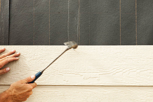 Best Historical Building Siding Restoration  in Mattoon, IL